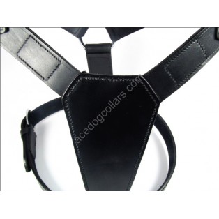 Plain Black Extra Large Harness
